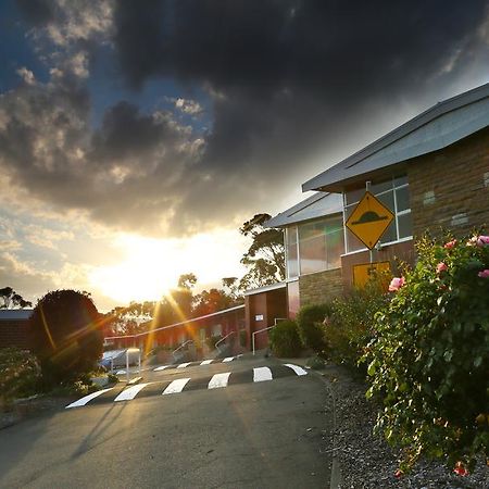 City View Motel Montagu Bay Екстериор снимка